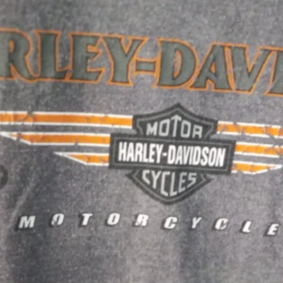 Genuine Harley-Davidson Men’s T-Shirt Sz Large Gray New Smyrna Beach Florida - Picture 8 of 12